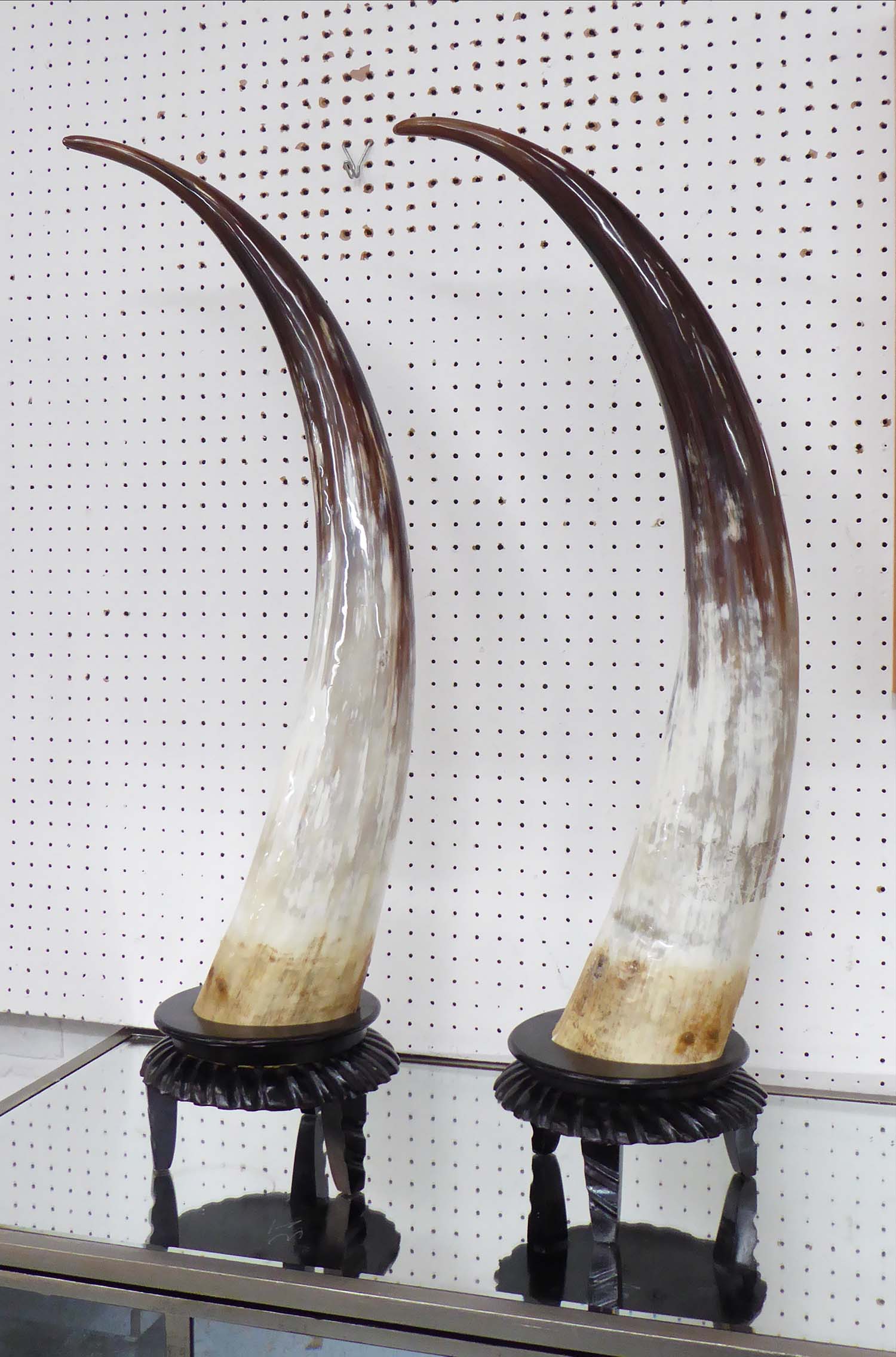 buffalo-horns-a-pair-on-dark-wood-stands-72cm-h-2